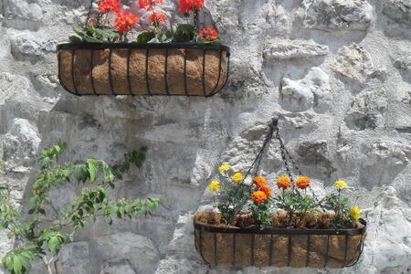 Urbana, Old Town